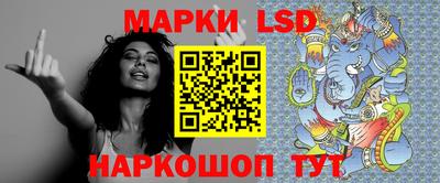 гашик Будённовск