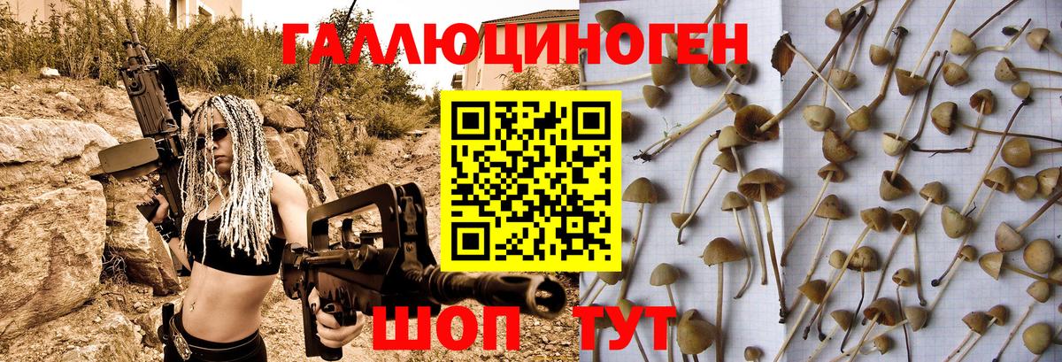 Псилоцибиновые грибы прущие грибы Санкт-Петербург