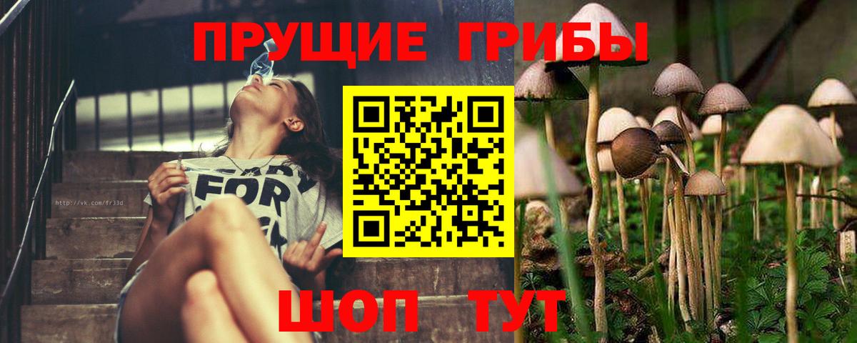 Галлюциногенные грибы ЛСД  как найти закладки  Псилоцибиновые грибы Psilocybe  Санкт-Петербург  Вход с VPN 